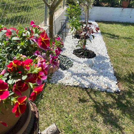 Golden House Apartment Alexandroupoli Exterior photo