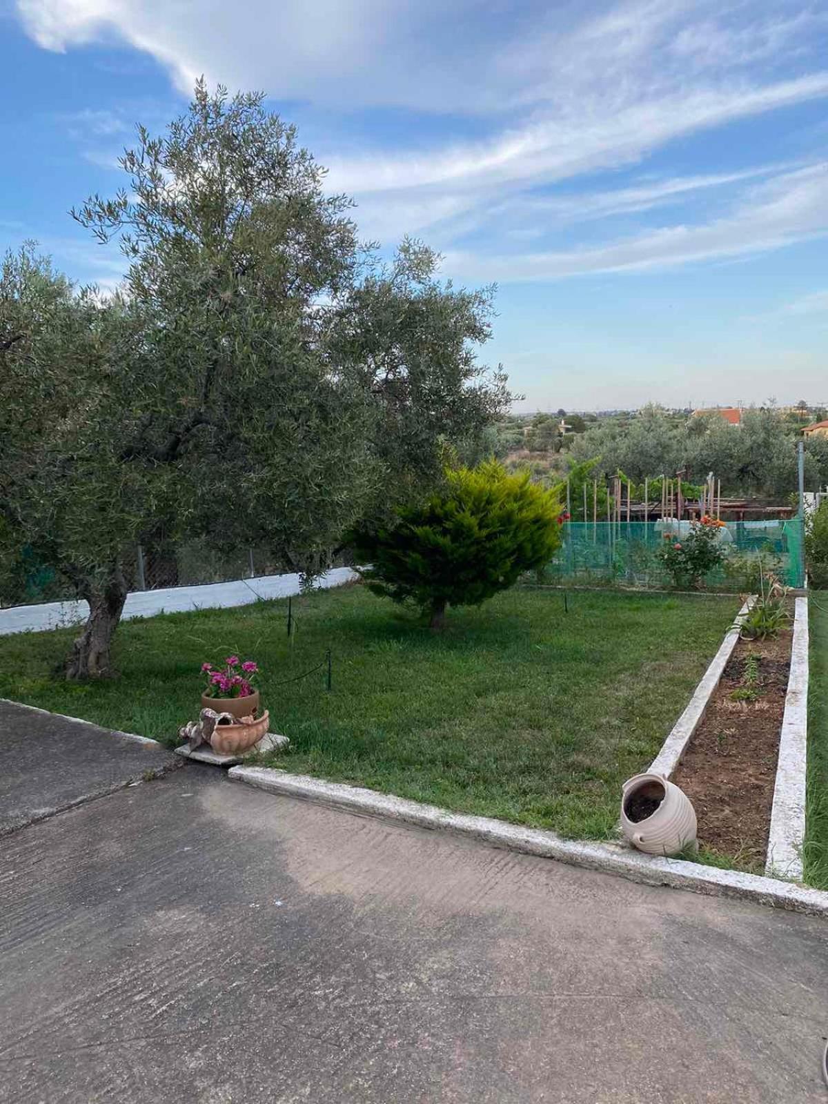 Golden House Apartment Alexandroupoli Exterior photo