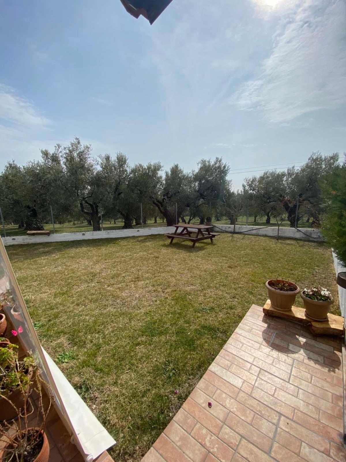 Golden House Apartment Alexandroupoli Exterior photo